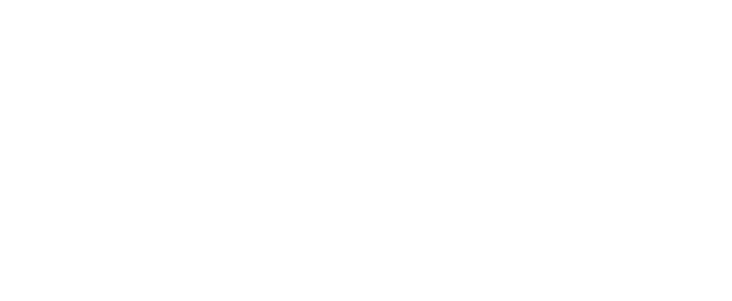 BFE-Main-Logo-white